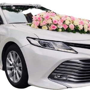 Xe Hoa Camry