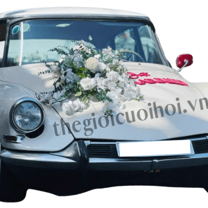 Xe Cưới Cổ Citroën DS 1963