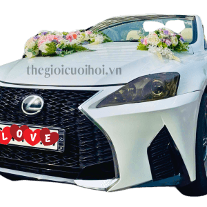 Xe Cưới Mui Trần Lexus IS 250C Trắng