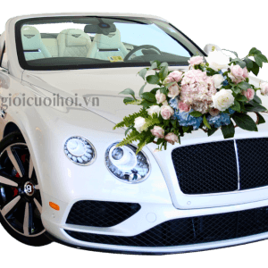 Xe Cưới Bentley Mui Trần