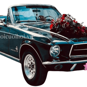 Xe cưới Mustang Cổ Màu Đen