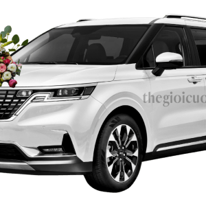Xe Cưới KIA Carnival