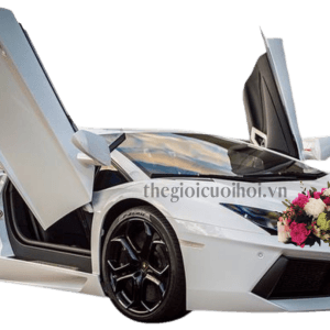 Xe Cưới Lamborghini